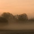 Misty Field